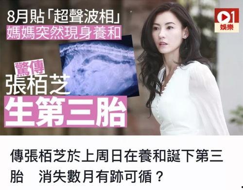 张柏芝爆料新闻事件视频,揭秘事件背后真相 第1张 张柏芝爆料新闻事件视频,揭秘事件背后真相 第1张