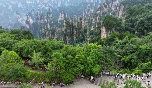 张家界最新新闻爆料,神秘洞穴发现罕见生物，探险之旅再掀热潮